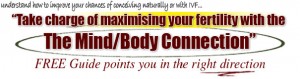 Take charge of maximising your fertility - free guide