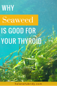 Why Seaweed is Good for Your Thyroid